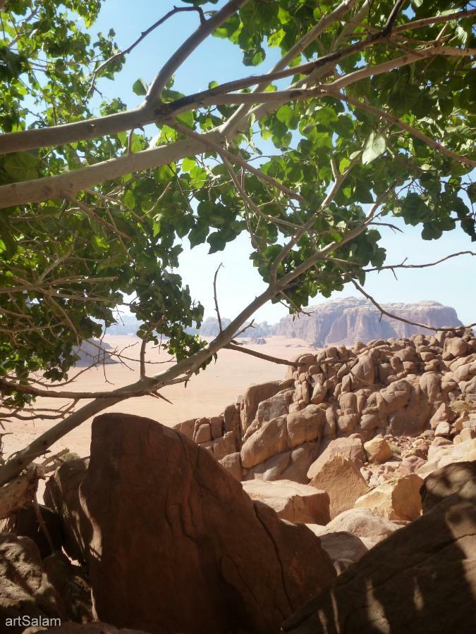 Sunrise Camp Wadi Rum Exterior foto