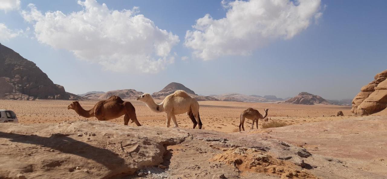 Sunrise Camp Wadi Rum Exterior foto