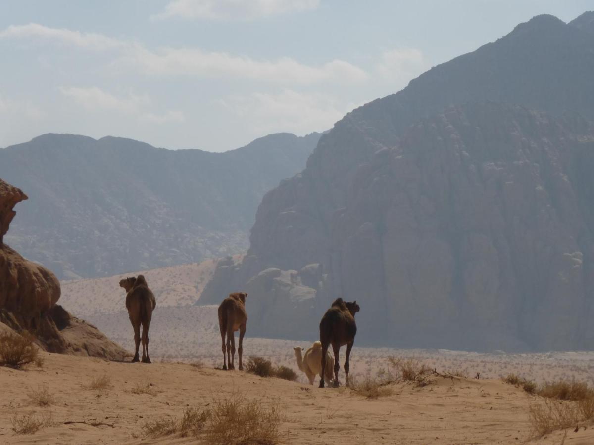 Sunrise Camp Wadi Rum Exterior foto